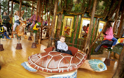 Conservation gallery image