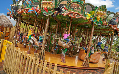 Conservation gallery image