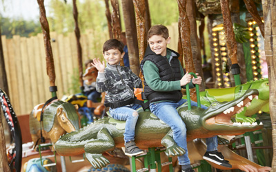 Conservation gallery image