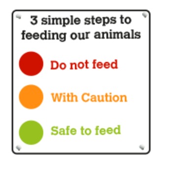 Traffic Light Safety System