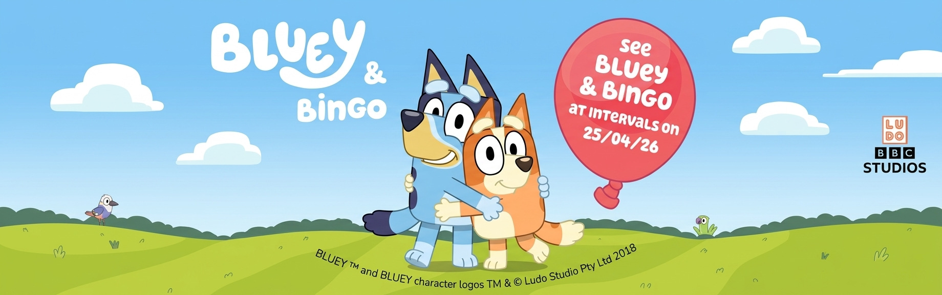 Bluey & Bingo