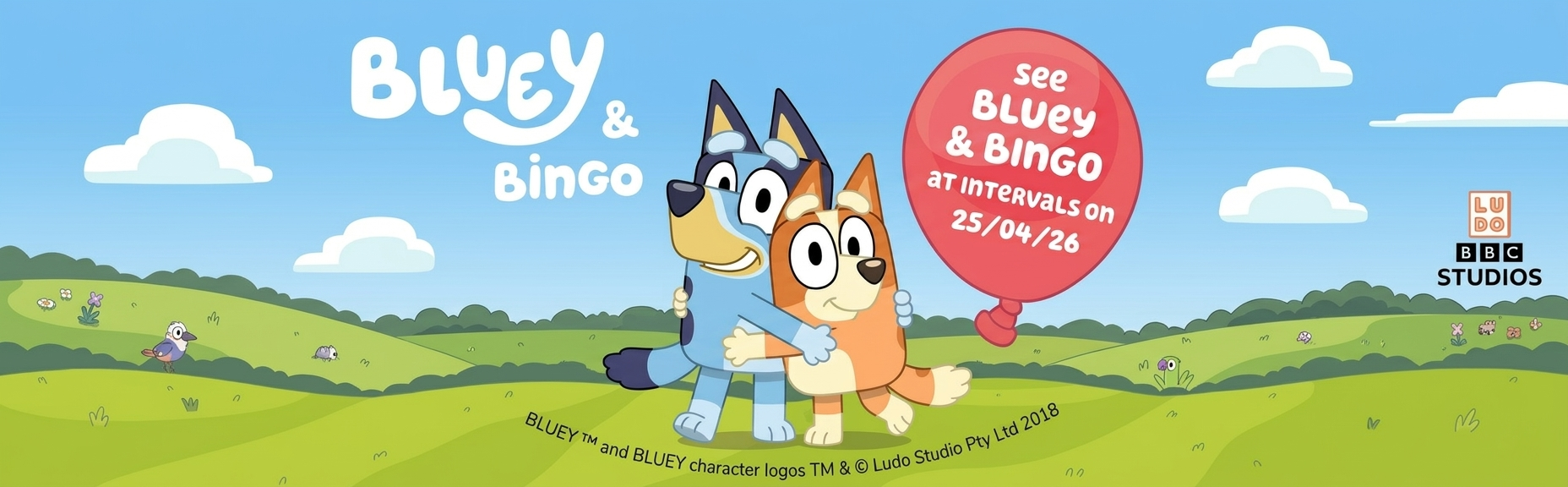 Bluey & Bingo