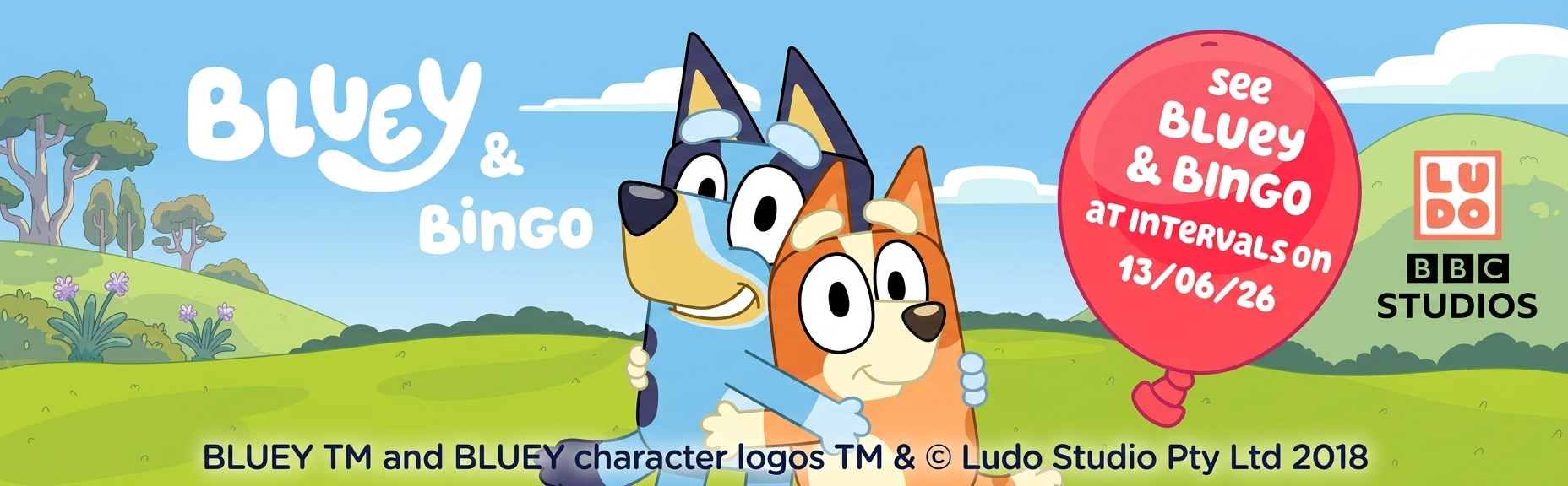 Bluey & Bingo