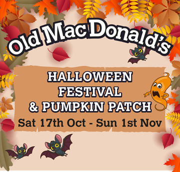 OMD's Halloween Festival