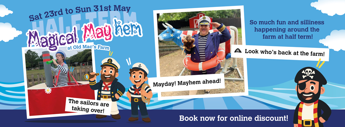 Magical Mayhem