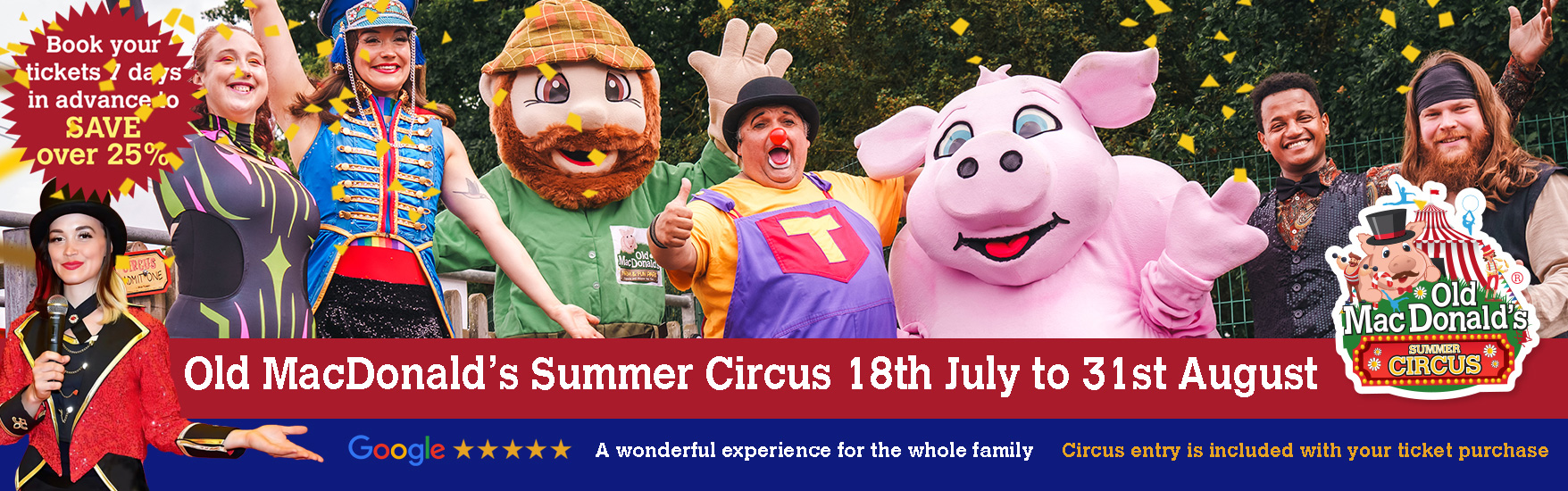 Summer Circus