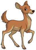 Fallow Deer